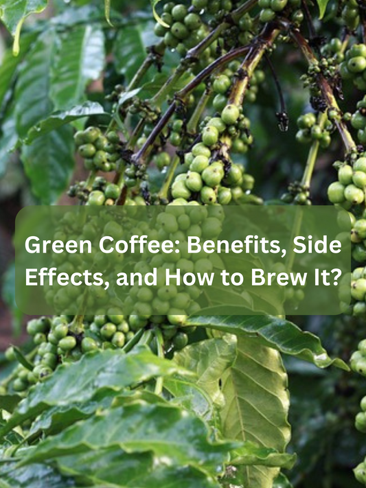 Green Coffee: Benefits, Side Effects, and How to Brew It?